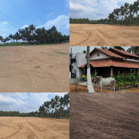  Residential Plot for Sale in Chettipalayam, Coimbatore