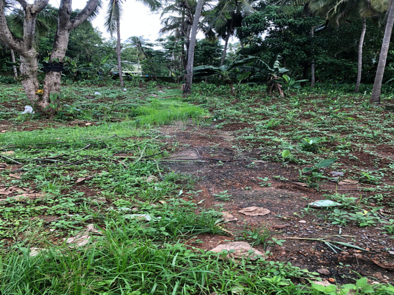  Residential Plot 17 Cent for Sale in Angadipuram, Malappuram