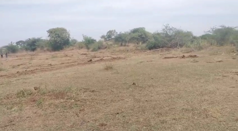  40 Guntha Residential Plot for Sale in Mungsare, Nashik