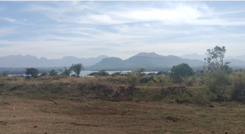  40 Guntha Residential Plot for Sale in Mungsare, Nashik