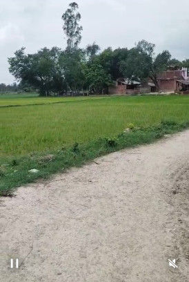 Sultanpur Road, Lucknow photo 3