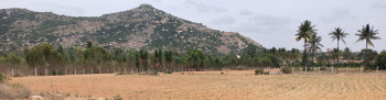  Industrial Land for Sale in Narasapura, Kolar