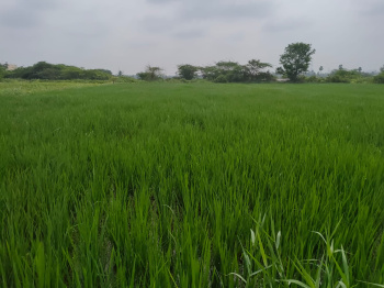  Agricultural Land for Sale in Ibrahimpatnam, Hyderabad