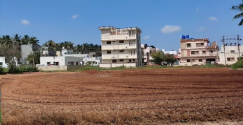  Residential Plot for Sale in Pollachi, Coimbatore