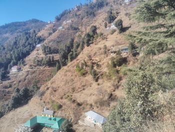  Commercial Land for Sale in Fagu, Shimla