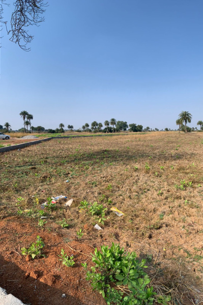  Residential Plot 1250 Sq.ft. for Sale in Mandir Hasaud, Raipur