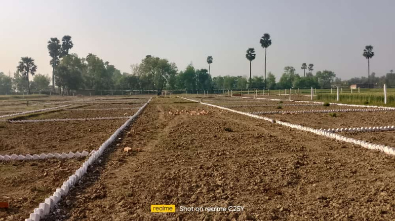  Residential Plot 1200 Ares for Sale in Bihta, Patna