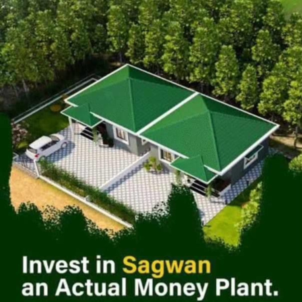  Agricultural Land 6000 Sq.ft. for Sale in Hingna Road, Nagpur