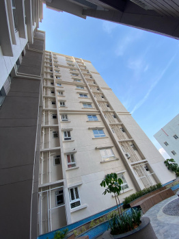 3 BHK Flat for Sale in Kalkere, Bangalore