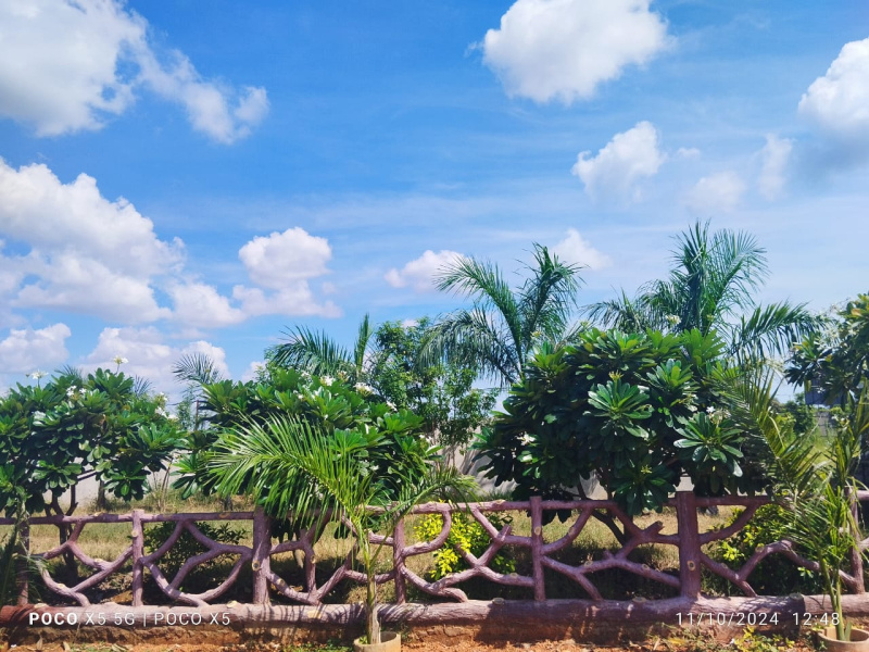  Residential Plot 1250 Sq.ft. for Sale in Abhanpur, Raipur