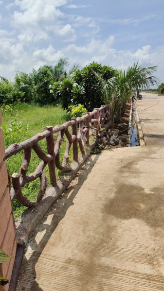  Residential Plot 1250 Sq.ft. for Sale in Abhanpur, Raipur