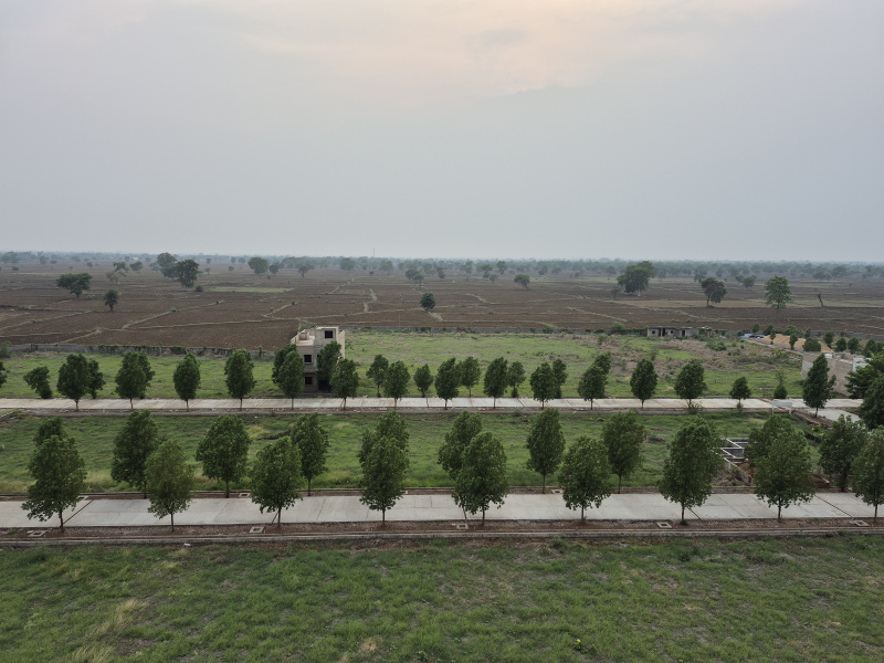  Residential Plot 600 Sq.ft. for Sale in Kathadih Village, Raipur