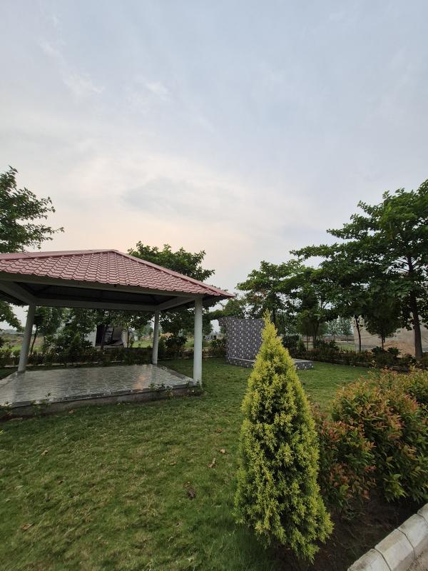  Residential Plot 1270 Sq.ft. for Sale in Sejbahar, Raipur