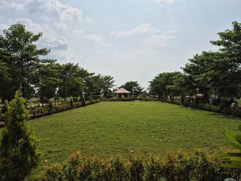  Residential Plot 1270 Sq.ft. for Sale in Sejbahar, Raipur