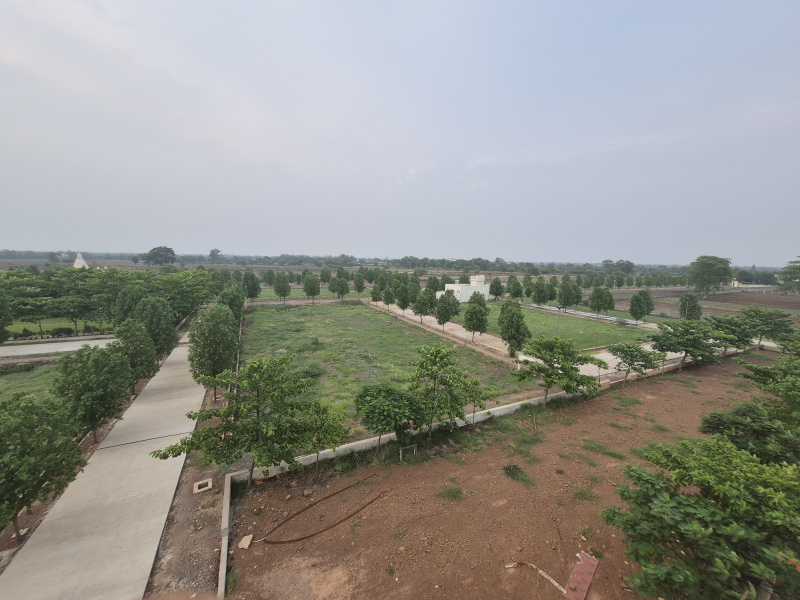  Residential Plot 1270 Sq.ft. for Sale in Sejbahar, Raipur