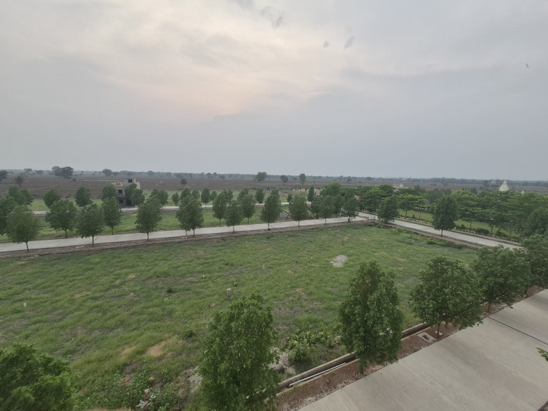  Residential Plot 920 Sq.ft. for Sale in Sejbahar, Raipur