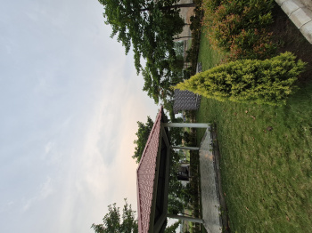  Residential Plot for Sale in Boria Kalan, Raipur