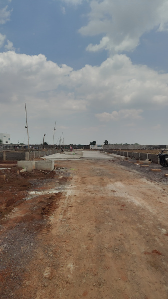  Residential Plot 1984 Sq.ft. for Sale in Bhatagaon, Raipur