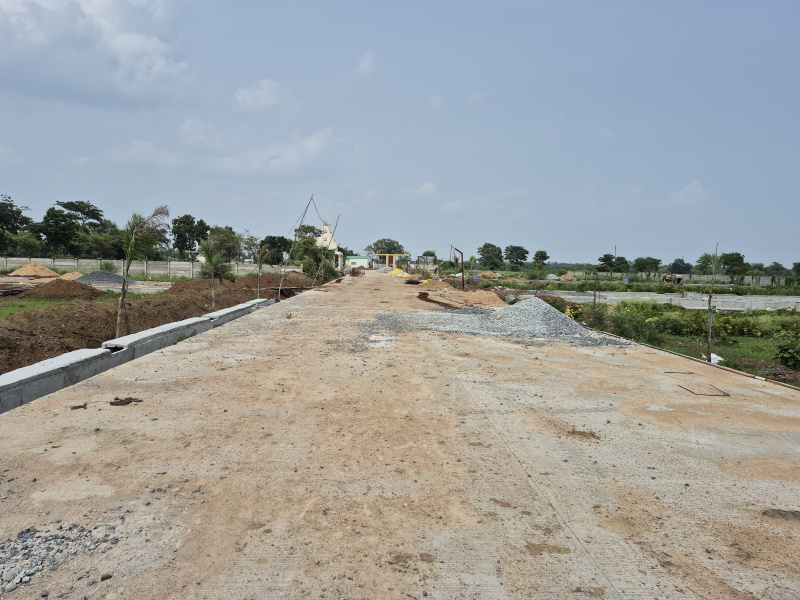  Residential Plot 999 Sq.ft. for Sale in Boria Kalan, Raipur