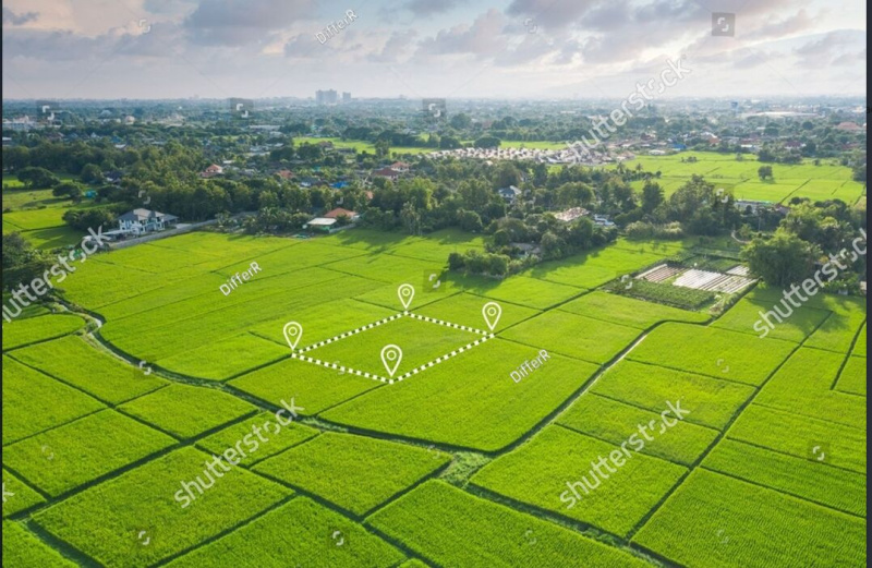  Residential Plot 1000 Sq.ft. for Sale in Kamal Vihar, Raipur