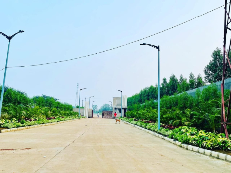  1000 Sq.ft. Residential Plot for Sale in Naya Raipur, Raipur