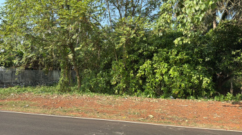  Residential Plot for Sale in Ollur, Thrissur