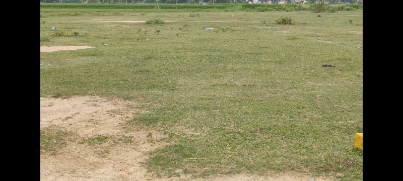  Agricultural Land 1200 Sq.ft. for Sale in Arakandanallur, Villupuram