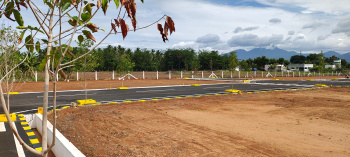  Residential Plot for Sale in Gobichettipalayam, Erode
