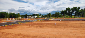  Residential Plot for Sale in Gobichettipalayam, Erode