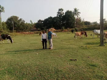  Residential Plot for Sale in Bhogapuram, Vizianagaram