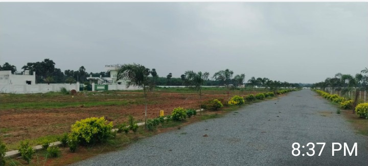  Residential Plot 200 Sq. Yards for Sale in Garividi, Vizianagaram