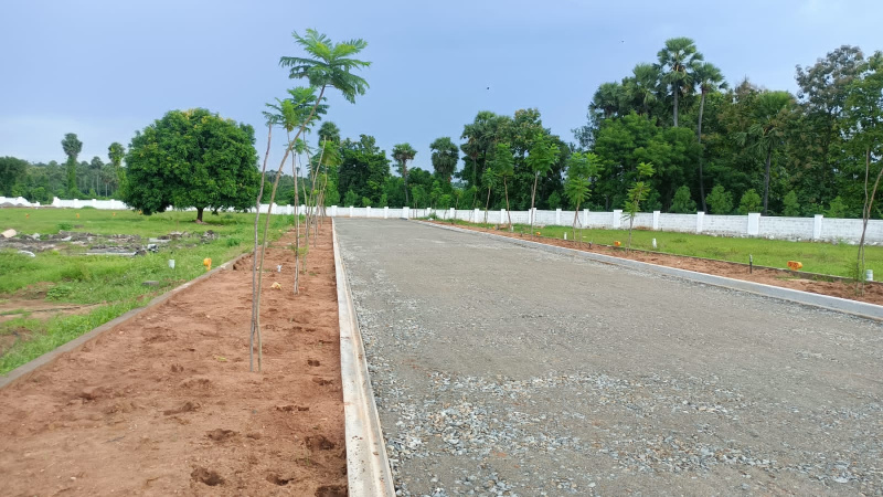  Residential Plot 200 Sq. Yards for Sale in Vizianagaram, Visakhapatnam