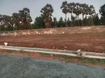  Residential Plot for Sale in Bhogapuram, Visakhapatnam