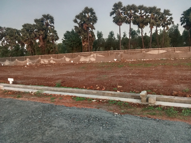  Residential Plot 202 Sq. Yards for Sale in Bhogapuram, Visakhapatnam