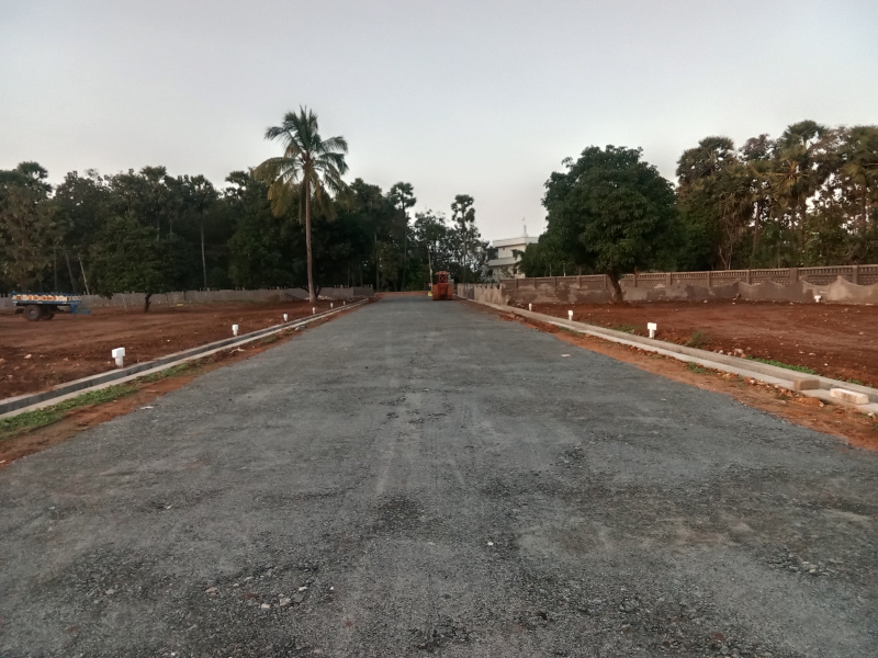  Residential Plot 200 Sq. Yards for Sale in Gajularega, Vizianagaram