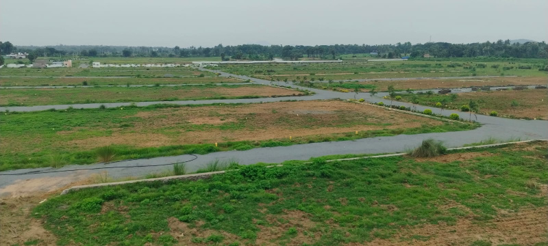  Residential Plot 167 Sq. Yards for Sale in Pusapatirega, Vizianagaram