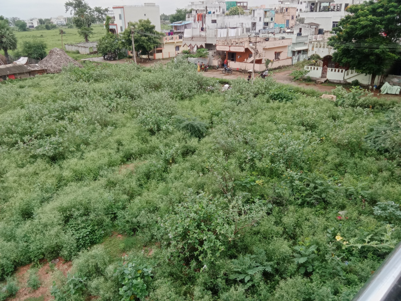  Residential Plot 183 Sq. Yards for Sale in Bheemili, Visakhapatnam