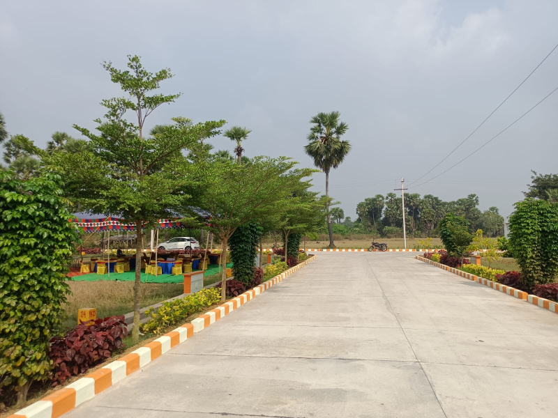  Residential Plot 100 Sq. Yards for Sale in Kothavalasa, Visakhapatnam