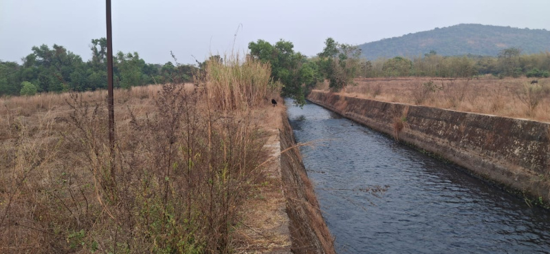  Residential Plot 3 Acre for Sale in Dodamarg, Sindhudurg