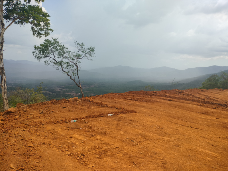  Agricultural Land 30 Acre for Sale in Dodamarg, Sindhudurg