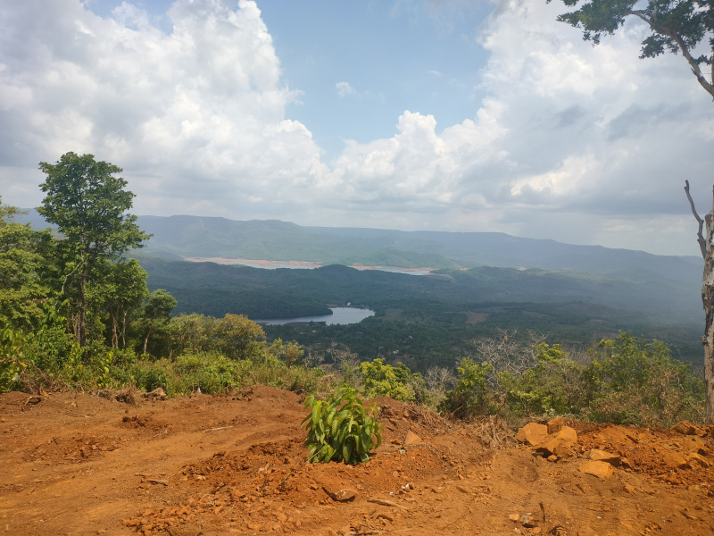  Agricultural Land 30 Acre for Sale in Dodamarg, Sindhudurg