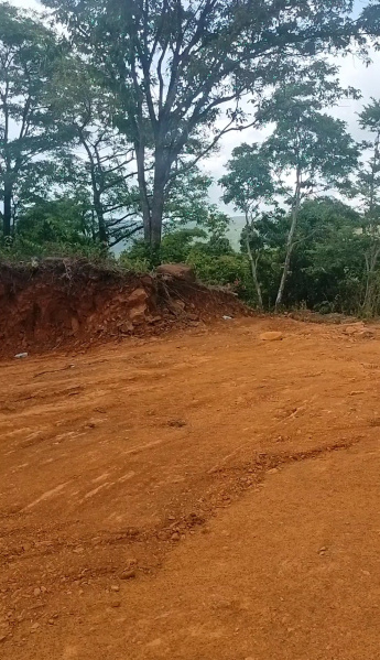  Agricultural Land 30 Acre for Sale in Dodamarg, Sindhudurg