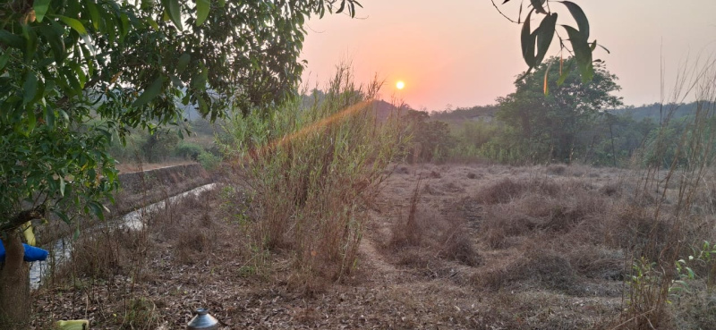  Agricultural Land 70 Guntha for Sale in Sawantwadi, Sindhudurg