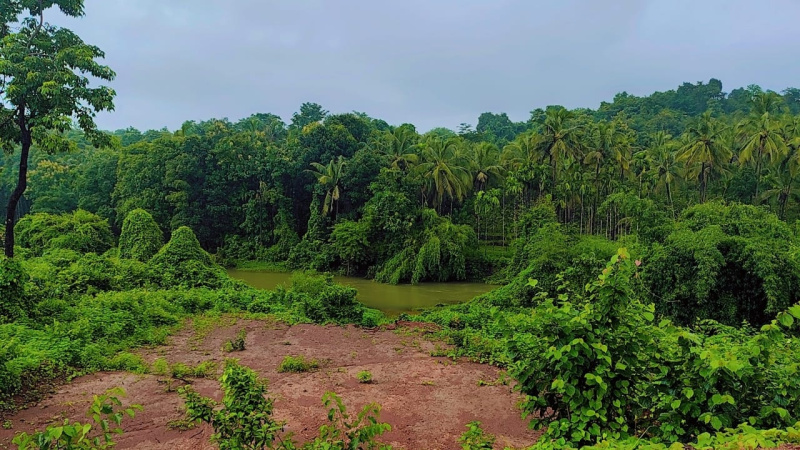 Dodamarg, Sindhudurg photo 2