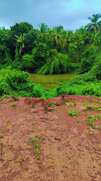 Dodamarg, Sindhudurg photo 3