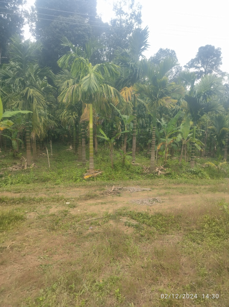  Agricultural Land 23 Sq.ft. for Sale in Sirsi, Uttara Kannada