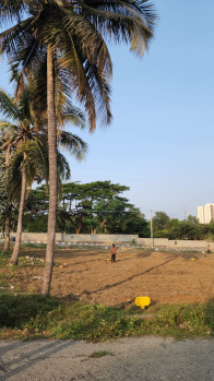  Residential Plot for Sale in Hejjala, Bangalore