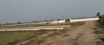  Residential Plot for Sale in Jewar, Gautam Buddha Nagar