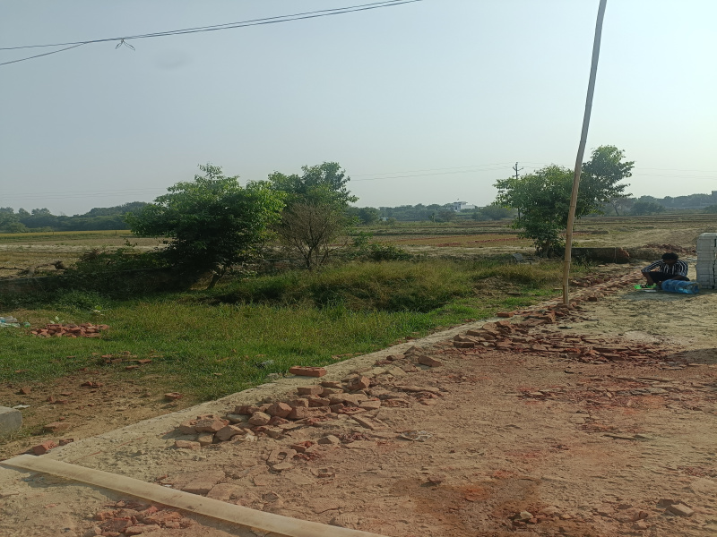  Residential Plot 900 Sq.ft. for Sale in Dankaur, Greater Noida