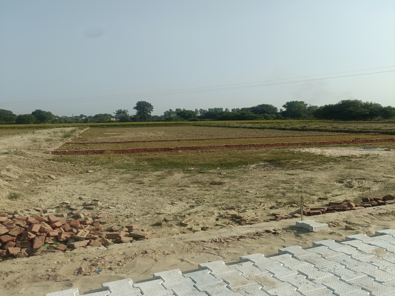  Residential Plot 900 Sq.ft. for Sale in Dankaur, Greater Noida